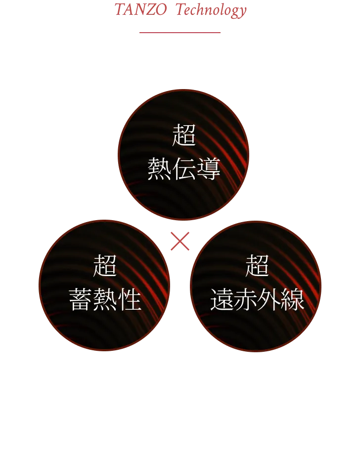 TANZO Technology